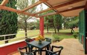 Туры в отель Apartments Polynesia Plava Laguna