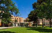 Туры в отель Sol Umag for Plava Laguna