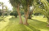 Туры в отель Son Caliu Hotel Spa Oasis