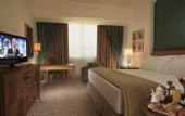 Туры в отель Sonesta Cairo Hotel, Tower & Casino