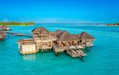Туры в отель Gili Lankanfushi Maldives