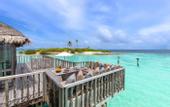 Туры в отель Gili Lankanfushi Maldives