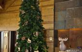 Туры в отель Sport Hotel Hermitage & Spa
