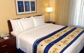 Туры в отель SpringHill Suites Houston Brookhollow