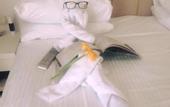 Туры в отель Hotel Erts