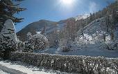 Туры в отель St Moritz Lodge and Condominiums