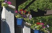 Туры в отель St Moritz Lodge and Condominiums
