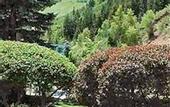 Туры в отель St Moritz Lodge and Condominiums