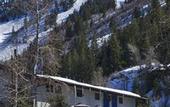 Туры в отель St Moritz Lodge and Condominiums