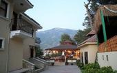Туры в отель Grove Hotel