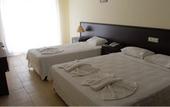 Туры в отель Grove Hotel