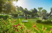 Туры в отель St Raphael Resort & Marina