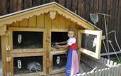 Туры в отель Starchlhof