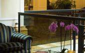 Туры в отель Starhotel Du Parc