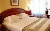 Туры в отель Starhotels Michelangelo