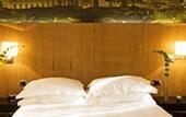 Туры в отель Starhotel Tourist