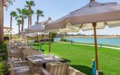 Туры в отель Steigenberger Golf Resort