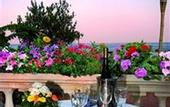 Туры в отель Delfini Strand Hotel Terme