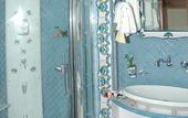Туры в отель Delfini Strand Hotel Terme