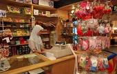 Туры в отель Strawberry Park Resort