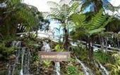 Туры в отель Strawberry Park Resort