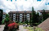 Туры в отель Strawberry Park Resort