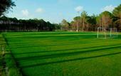 Туры в отель Sueno Hotels Golf Belek