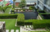 Туры в отель Sugar Palm Grand Hillside