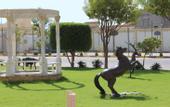 Туры в отель Sultan Beach Resort