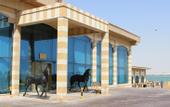 Туры в отель Sultan Beach Resort