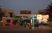 Туры в отель Summer Land Motel