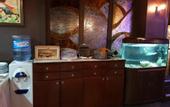 Туры в отель Sunrise Hotel
