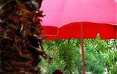 Туры в отель Sunny Sanya Family Inn
