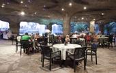 Туры в отель Sunrise Resort Hotel