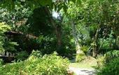Туры в отель Sunrise Tropical Resort