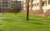 Туры в отель Pyramisa Sunset Pearl Beach & Golf Apartments