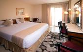 Туры в отель Swiss Inn Nile Hotel