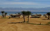Туры в отель Swisscare Nuweiba Resort Hotel