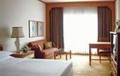 Туры в отель Taj Banjara