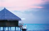 Туры в отель Taj Exotica Resort & Spa