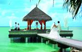 Туры в отель Taj Exotica Resort & Spa