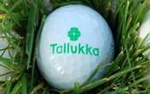 Туры в отель Tallukka