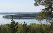 Туры в отель Tallukka