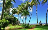 Туры в отель Tamarindo Diria Beach & Golf Resort