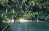 Туры в отель Taveuni Island Resort