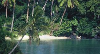 Taveuni Island Resort 4*