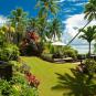 Туры в отель Taveuni Palms, оператор Anex Tour