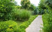 Туры в отель Telatiye Resort