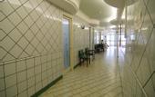 Туры в отель Terme Antoniano