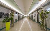 Туры в отель Terme Antoniano